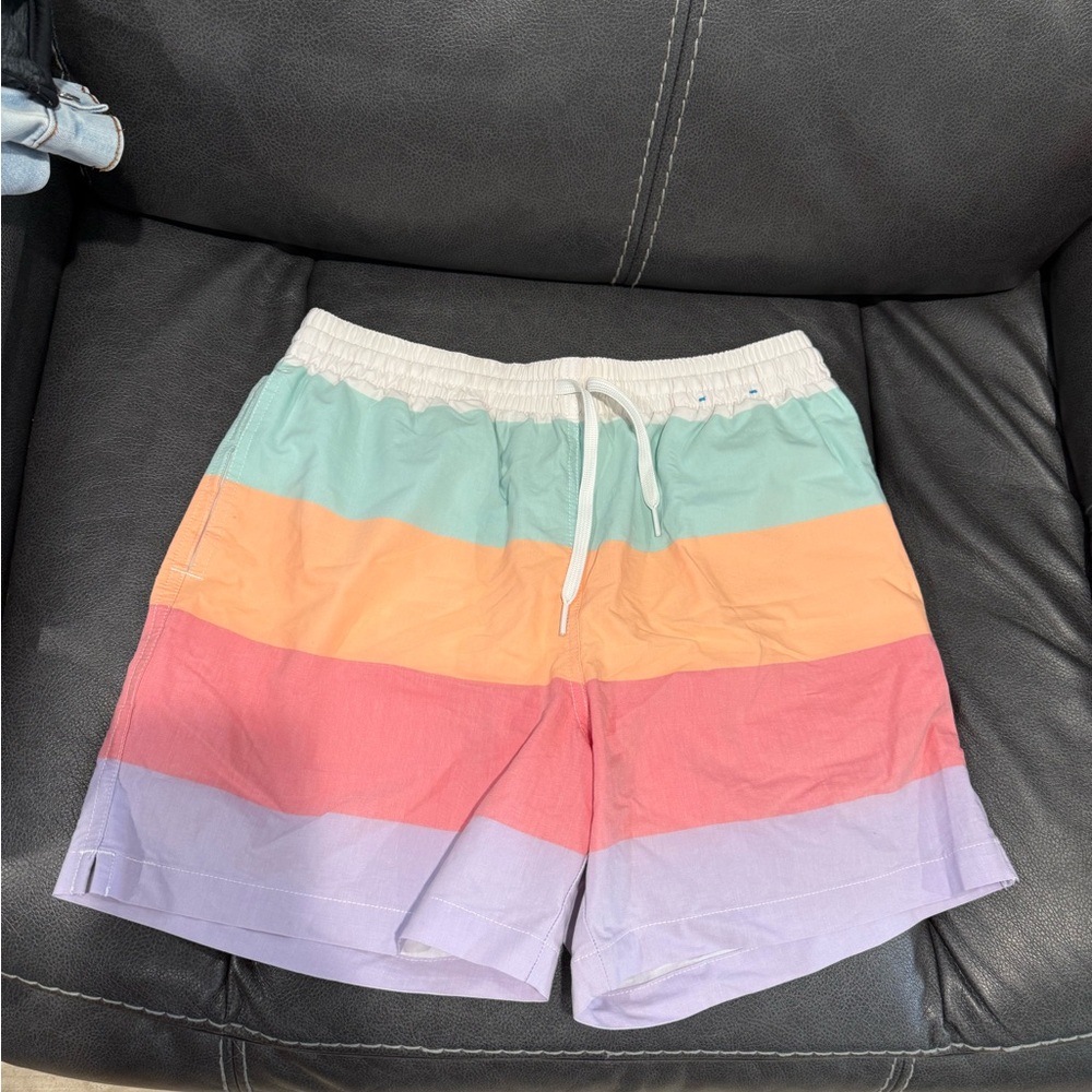 Chubbies Men's Swim Shorts